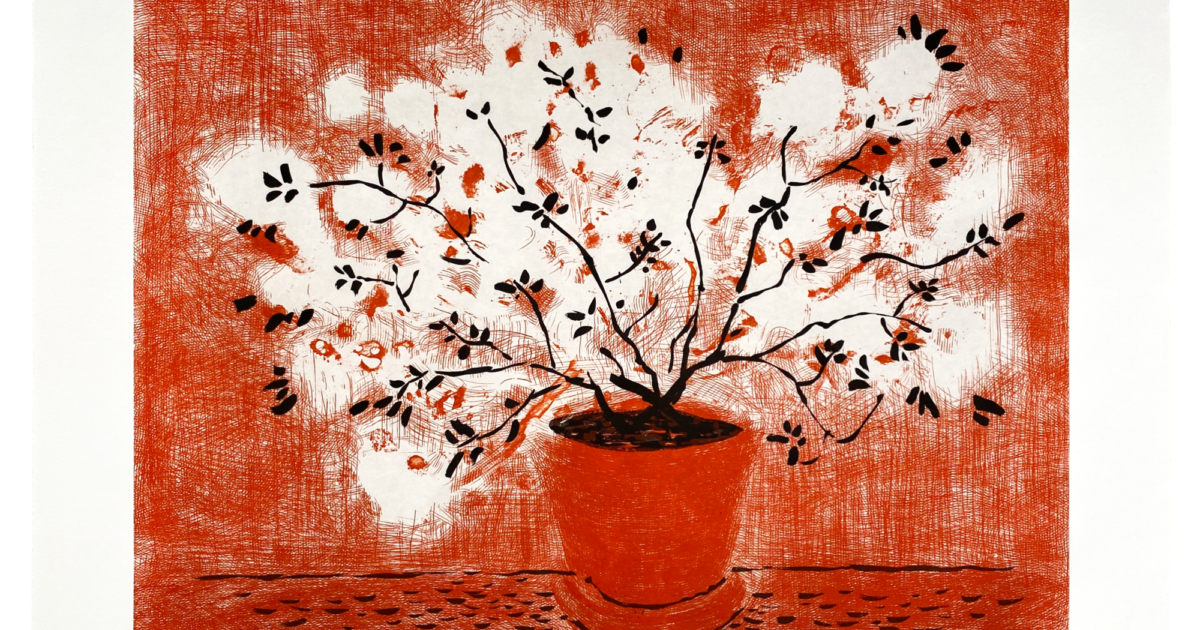 Red Wire Plant David Hockney Archeus PostModern